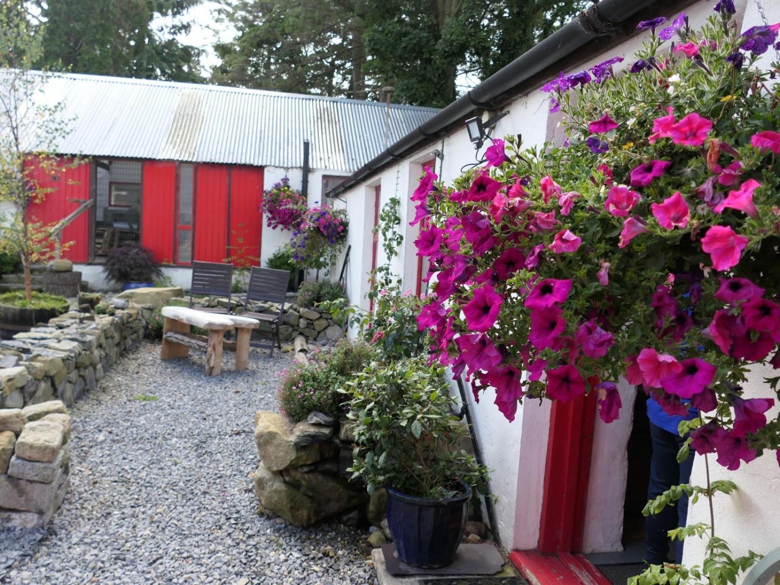 Stone Wall Cottage Castlewellan Exterior photo